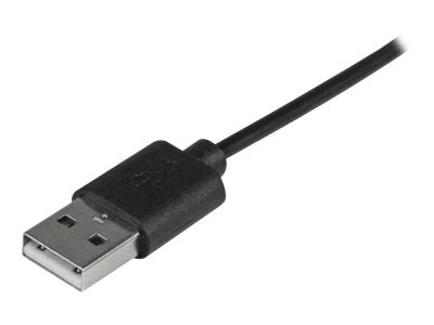 Image3