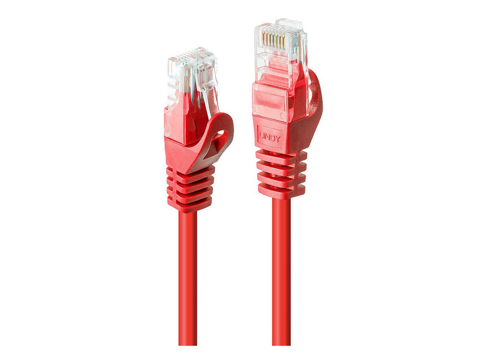 Lindy Basic - Patch-Kabel - RJ-45 (M) zu RJ-45 (M)