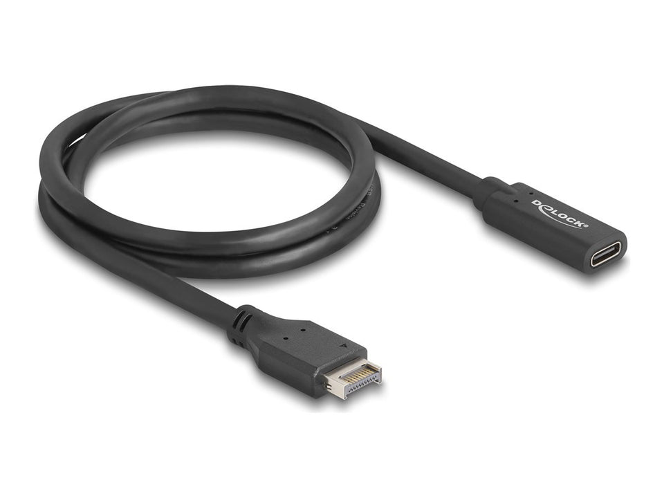 Delock USB-Kabel - 20-poliger USB Typ E (M)