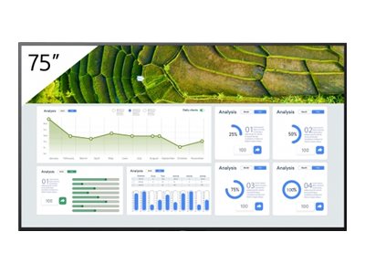 Sony Bravia Professional Displays FW-75BZ30L - 189 cm (75")