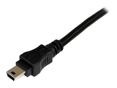 Image3