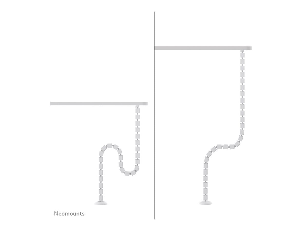 https://media.itscope.com/img/p/SPzANd0lryzpabPsfZOLhHIpVciJsQieanASr_VM3Wk=/aHR0cHM6Ly9jZG4uY3MuMXdvcmxkc3luYy5jb20vYzgvNjIvYzg2MmY4MzctYmNhYy00MjJjLTk1MjUtOWNiMGIxYzZiZDBiLmpwZw==
