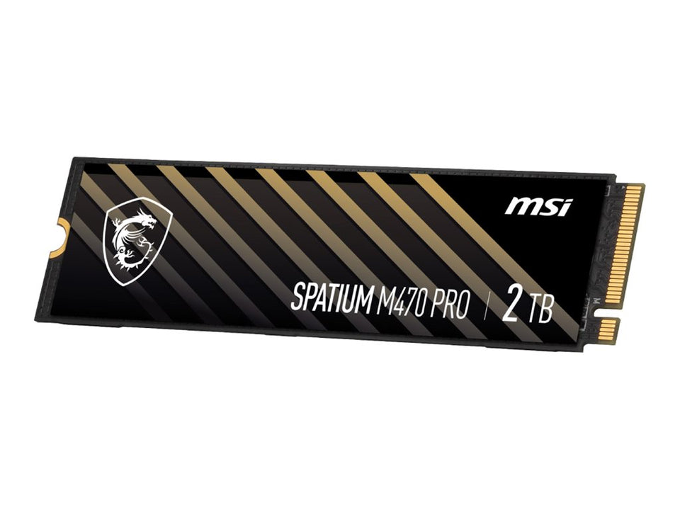 MSI SPATIUM M470 PRO PCIe 4.0 NVMe M.2, 2 TB, M.2 - Günstige M.2-SSD (Format 2280) - mit 1 TB Kapazität