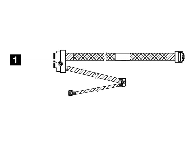 Image1