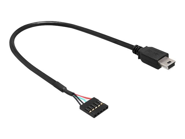 Delock USB 2.0 Pin Header - Interner und externer USB-Adapter - Mini-USB, Typ B (M)