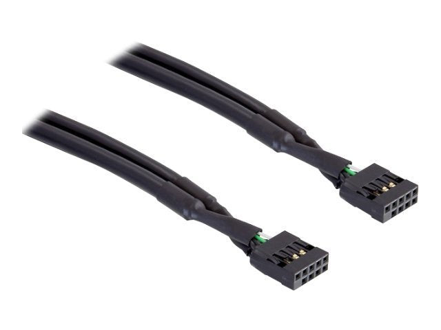 Delock USB-Kabel - 10-poliger USB-Header (W)