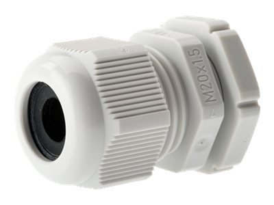 Image1