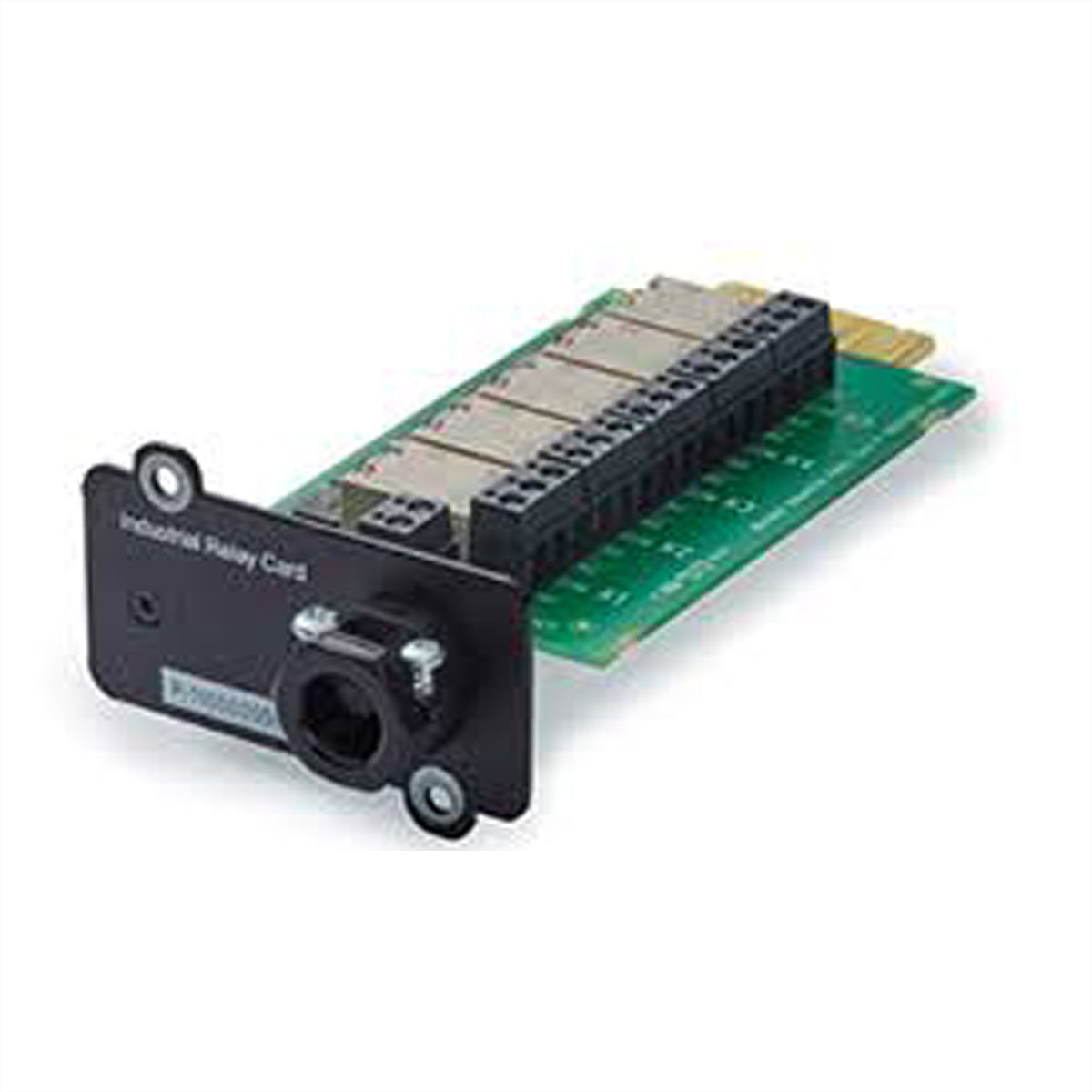 Image2