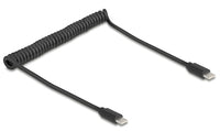 Delock USB-Kabel - USB-C (M) zu USB-C (M)